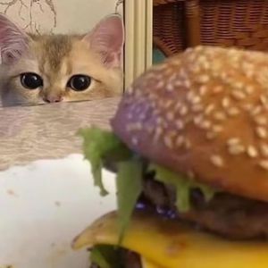 男生自慰✅高清免费
