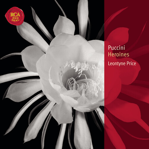 男生自慰✅高清免费
